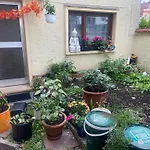 Mini Bungalow